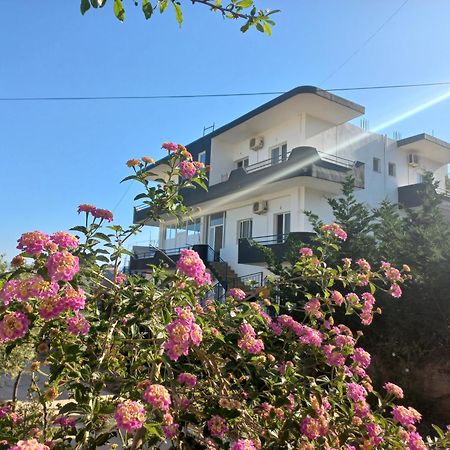 Villa Memushaj Εξαμίλιο Εξωτερικό φωτογραφία